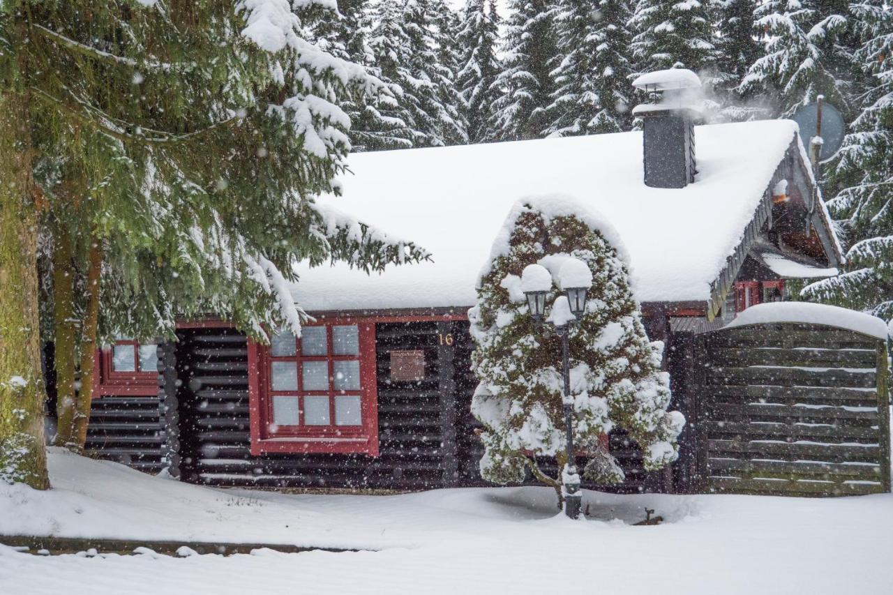 Ferienhaus Naturliebe Winterberg Ngoại thất bức ảnh